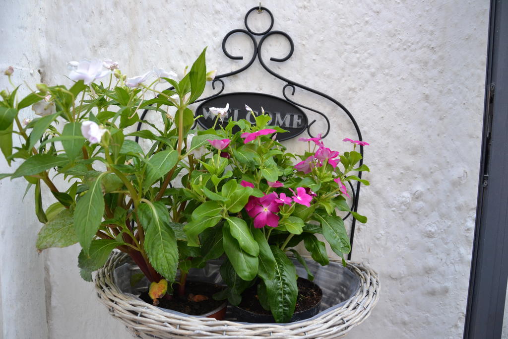 La Violetta Ostuni Apartman Szoba fotó